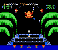 Donkey Kong 3 Screenshot 1